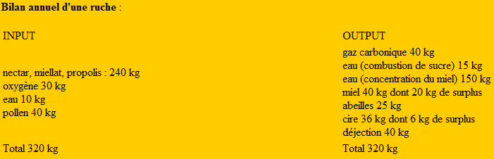 Capture.PNG